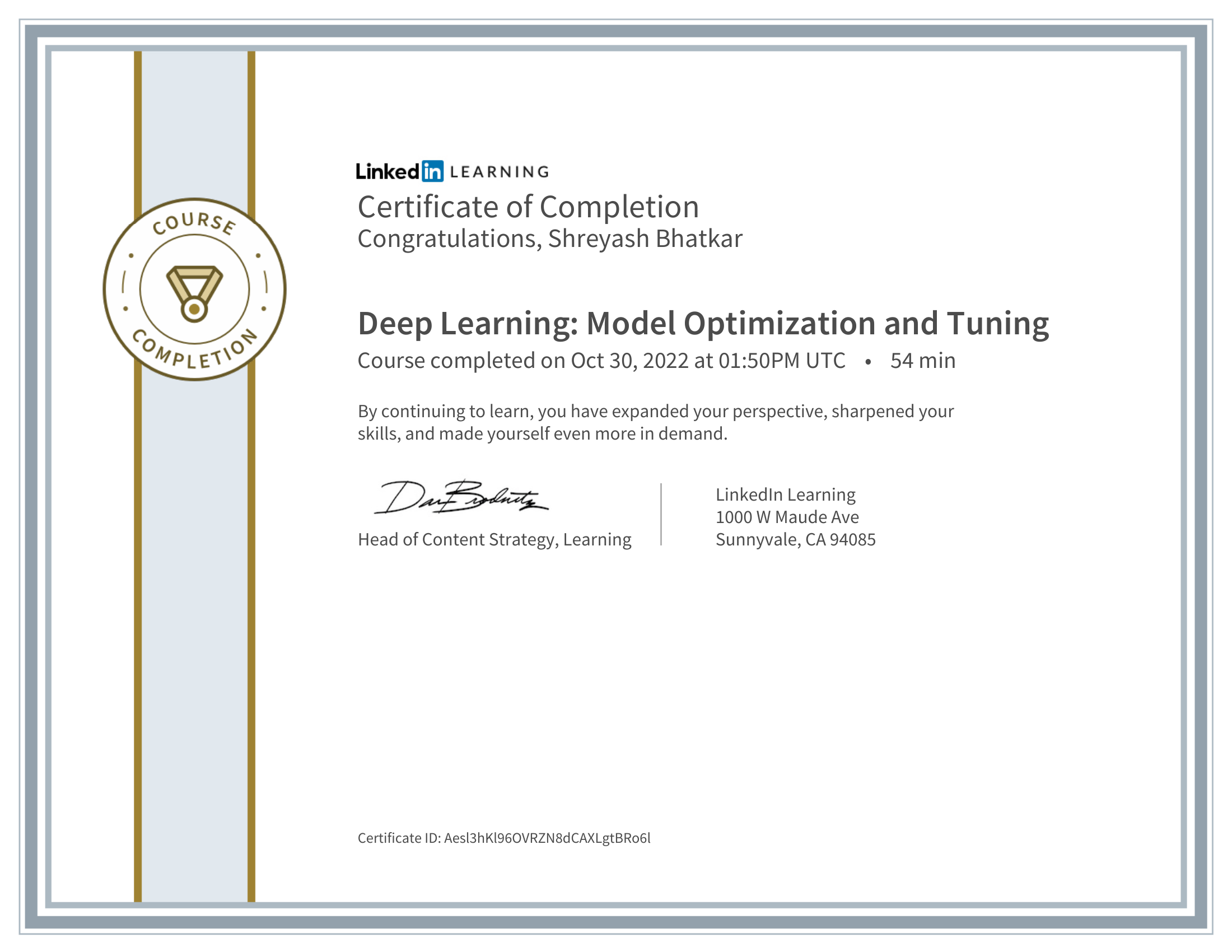 Deep Learning: Model Optimization & Tuning